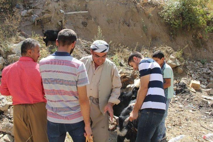 Şemdinli’de Bayram Telaşı G2