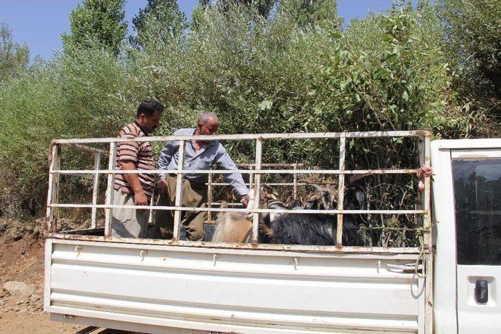 Şemdinli’de Bayram Telaşı G3