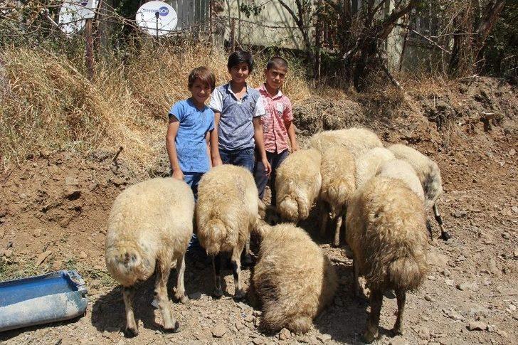 Şemdinli’de Bayram Telaşı G4