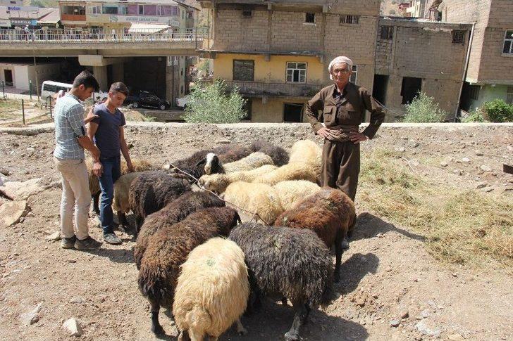 Şemdinli’de Bayram Telaşı G5