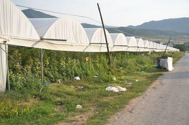 Bilecikli Seracılar Dönüm Başına Verilen Paranın Artırılmasını İstedi G1