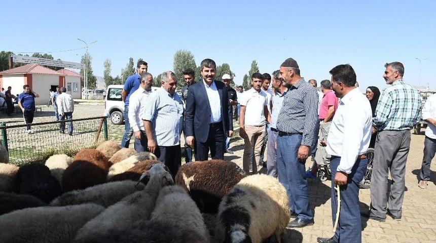 Başkan Asya Canlı Hayvan Pazarını Ziyaret Etti