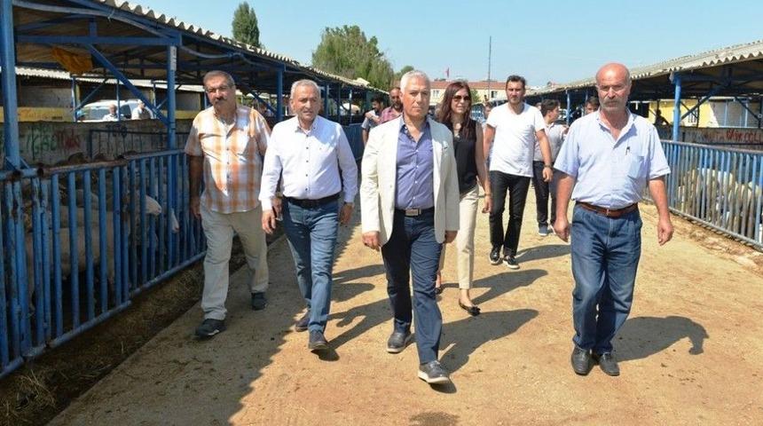 Nil&uuml;fer Kurban Bayramı&rsquo;na Hazır