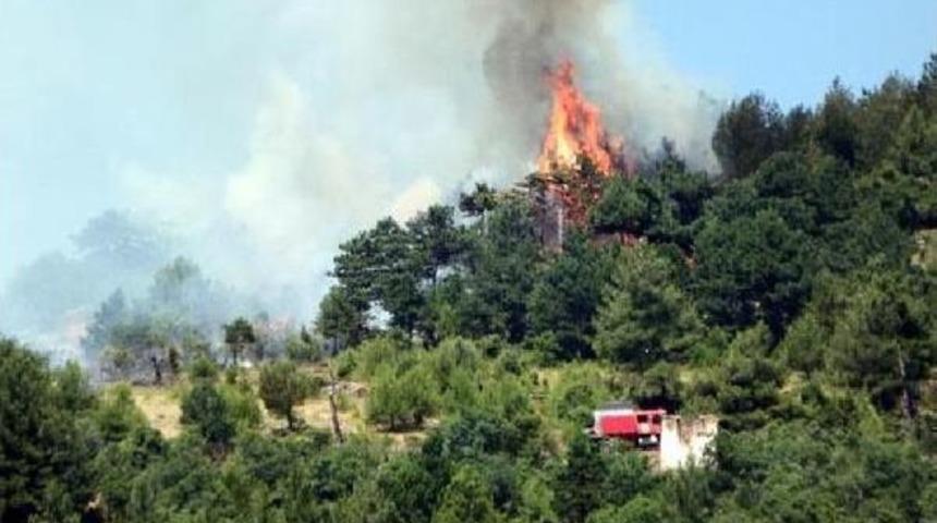 Pamukova'da 10 D&ouml;n&uuml;m Ormanlık Alan Yandı