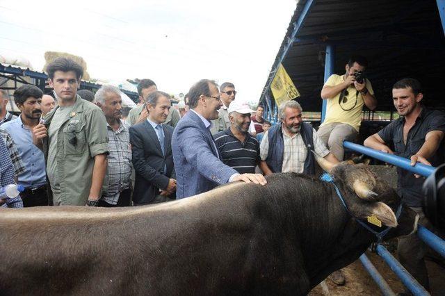 Başbakan Yardımcısı Çavuşoğlu, Sürücüleri Uyardı