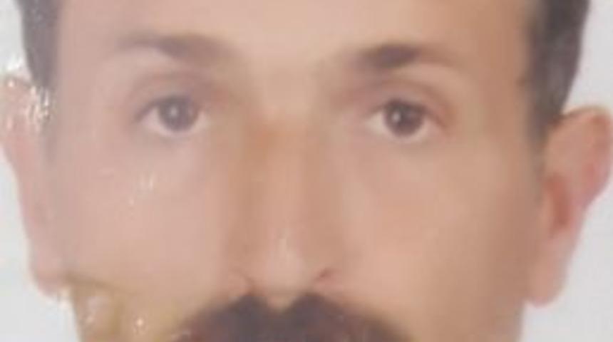 Kestiği Ağacın Altında Kalan Vatandaş Hayatını Kaybetti