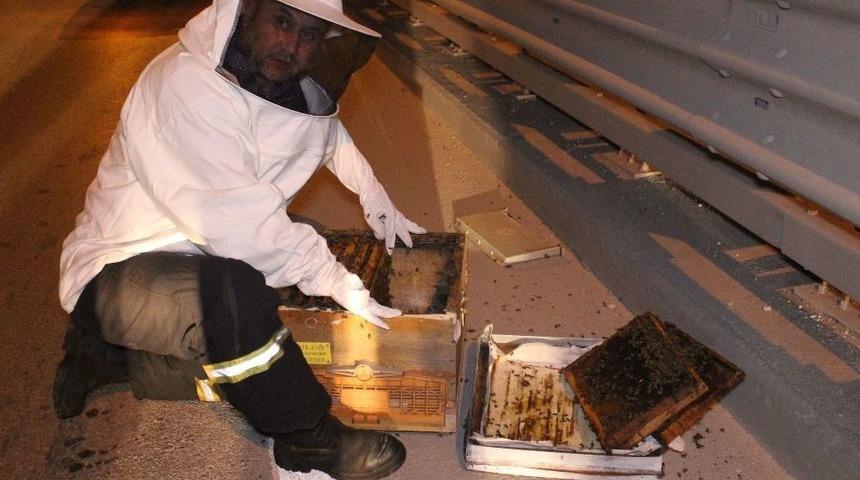 Yola D&uuml;şen Kovandaki Arılar Telef Oldu