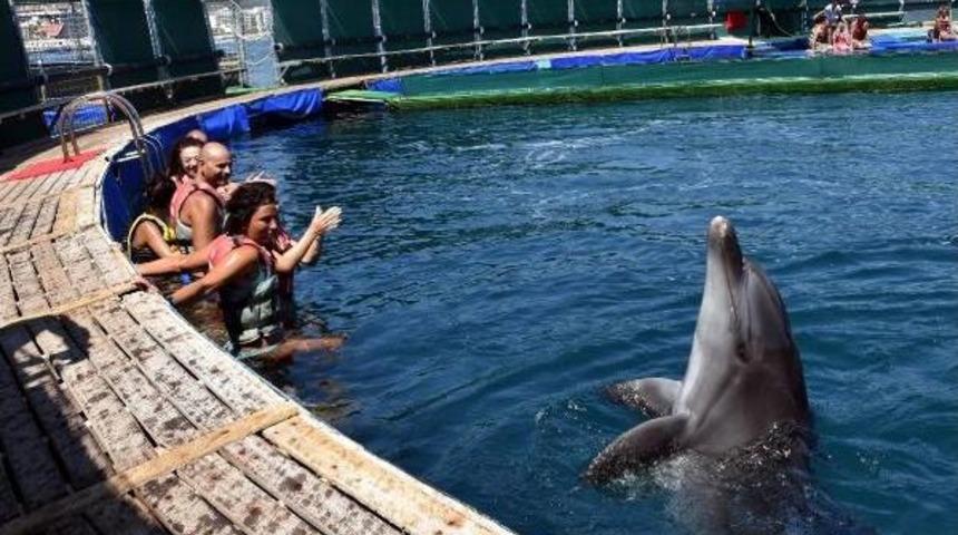 Marmaris'te Yunus Terapi Merkezi'nde Tedavi Ve Eğlence