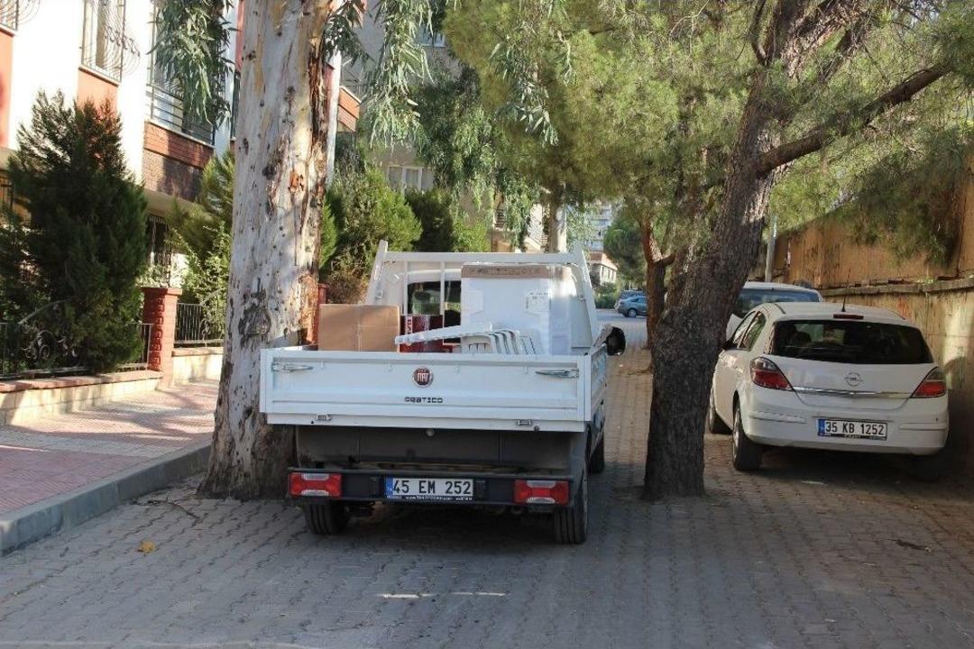 (&ouml;zel Haber) Yol Ortasındaki Ağa&ccedil;lar Şaşırtıyor