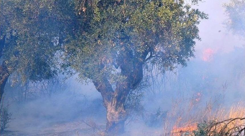 Elektrik Hatlarından &Ccedil;ıkan Yangınlara Emsal Karar Aydın&rsquo;dan