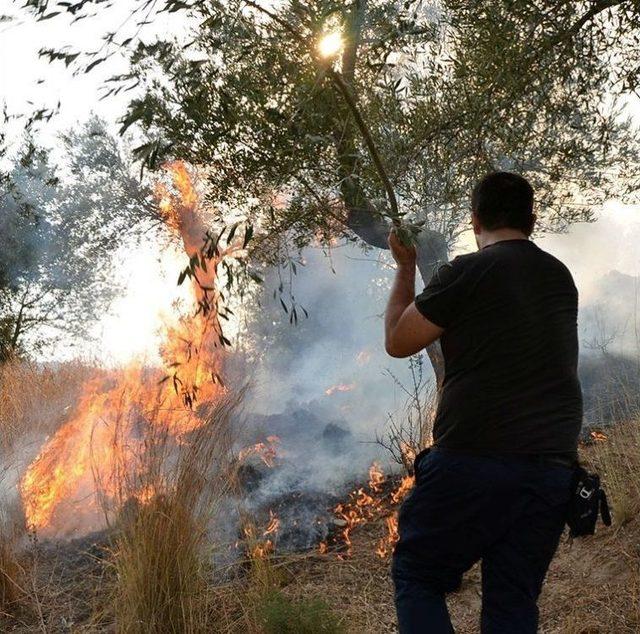 Elektrik Hatlarından Çıkan Yangınlara Emsal Karar Aydın’dan