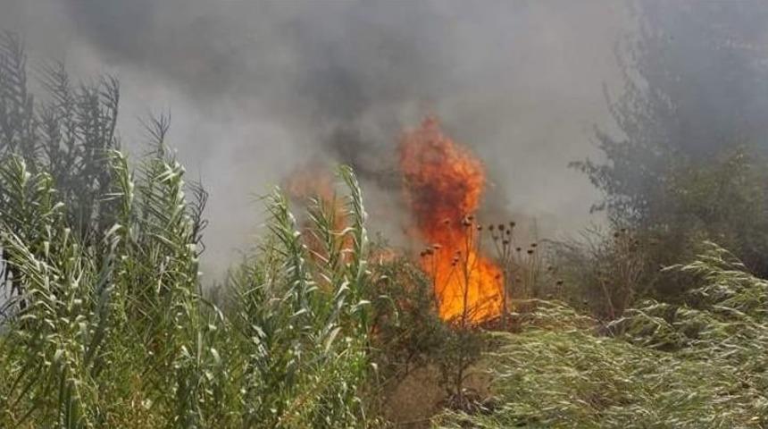 Karpuzlu’da 10 Dönüm Zeytinlik Alan Yangında Zarar Gördü