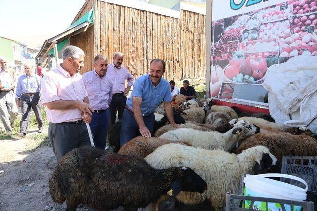 Varto’da Kurbanlık Satan Vatandaşların Hayvan Pazarı Talebi