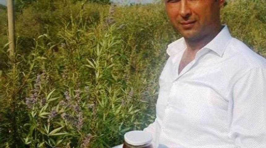 Aydın&rsquo;ın Hayıt Balını Markalaştırıp Pazarlayacaklar