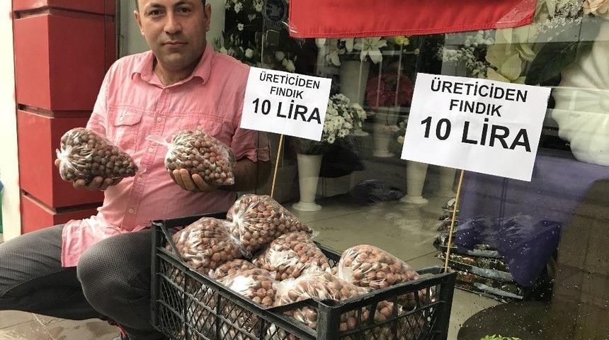 Fındık Kaldırım Kenarında 10 Lira