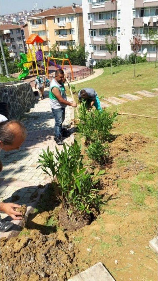 İzmit’in Parkları Bayrama Hazırlandı