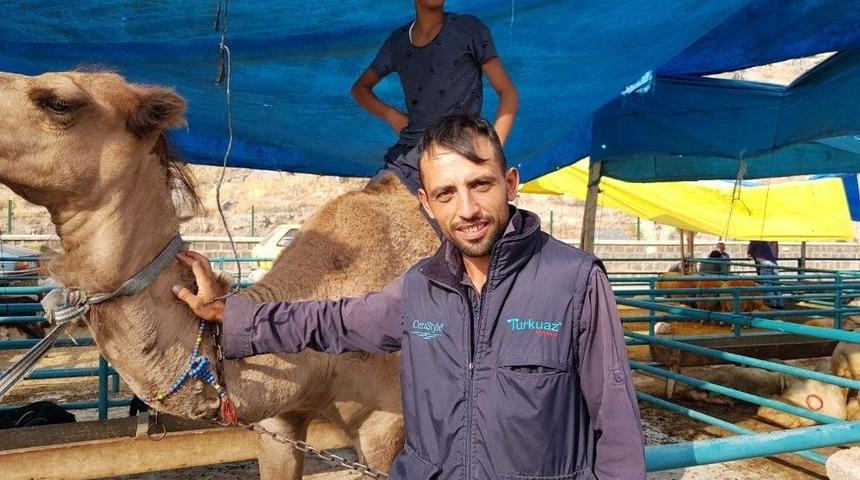 Alan Yok, &Ccedil;eken &Ccedil;ok