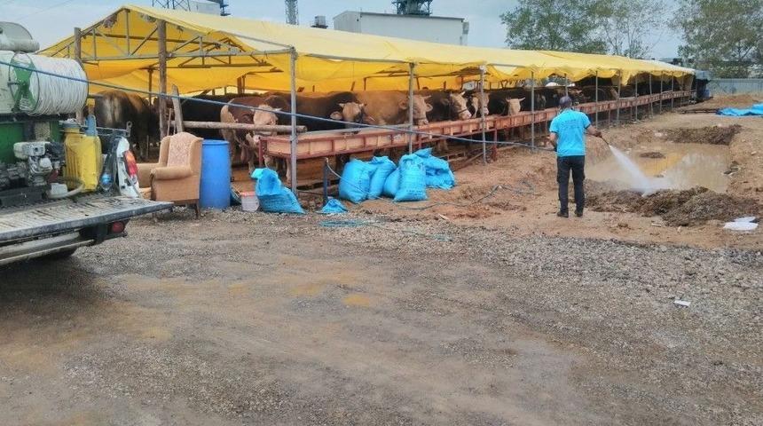 Kurban Satış Yerlerinde İla&ccedil;lama &Ccedil;alışması