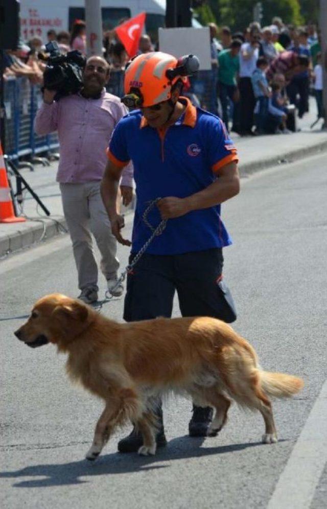 Arama- Kurtarma Köpeği 'leon' Bandodan Ürküp Kaçtı