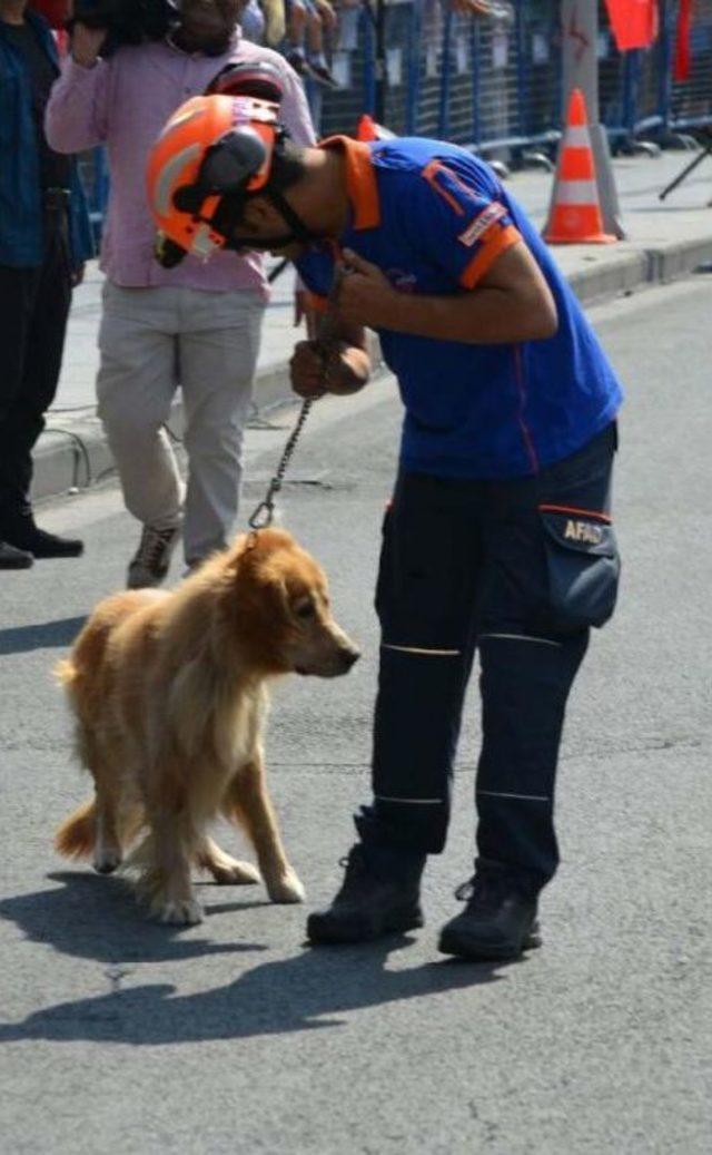 Arama- Kurtarma Köpeği 'leon' Bandodan Ürküp Kaçtı