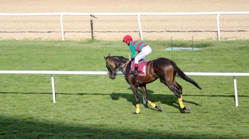 Başkanlık Koşusu&rsquo;nda Zafer Z&uuml;mr&uuml;than&rsquo;ın