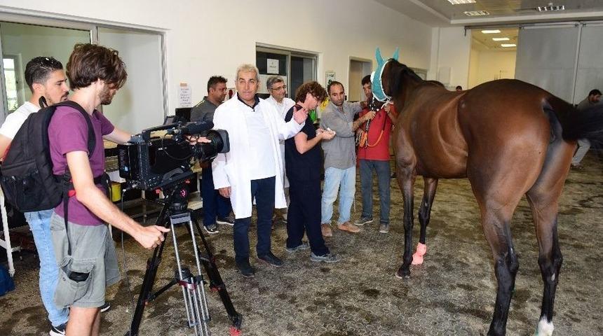 A&ccedil;ık&ouml;ğretimden Ders Uygulama Videoları