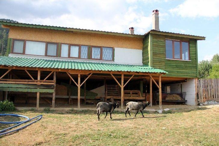 Yıkım Kararı Gelen Yayla Evi Sahiplerine Atlı, Tüfekli Destek G1