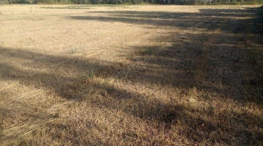 Tuzluca&rsquo;da Kuraklık