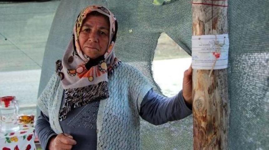 Bolu'da 25 Yayla Evi I&ccedil;in Yıkım Kararı Verilmesine Tepki