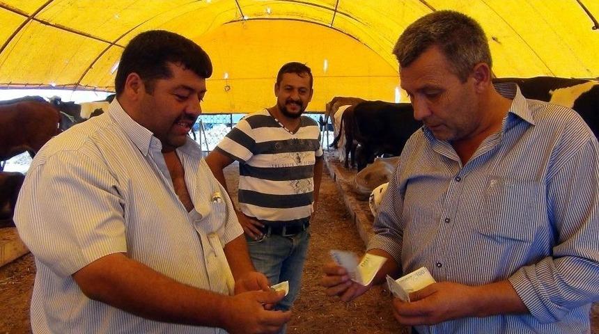 &Ccedil;orlu Kurban Pazarında Besicinin Tadı Tuzu Yok