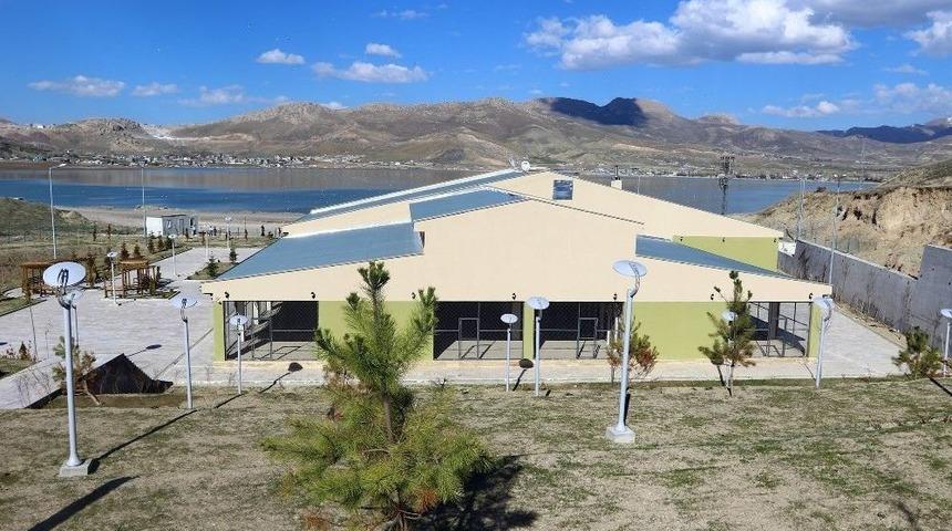 Büyükşehir’in Hayvan Bakımevi Açılış İçin Gün Sayıyor