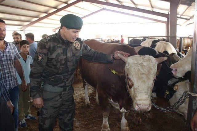 Adıyaman’da Sahte Paraya Kalemli Tedbir