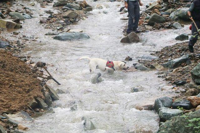 Selde Kaybolan Vatandaş İçin Köpekle Arama Yapıldı