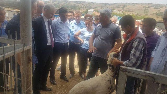 Kaymakam Güven’den Kurban Pazarında İnceleme