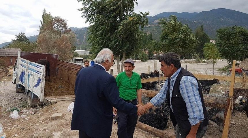 Reşadiye&rsquo;de Kurban Pazarında K&uuml;&ccedil;&uuml;kbaş Hayvana İlgi