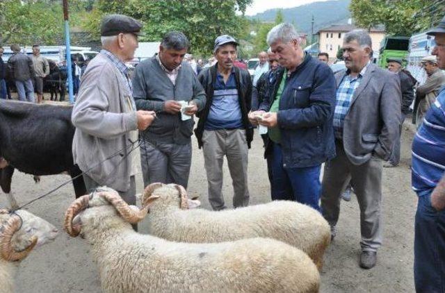 Bartın'da Hayvan Pazarında Yoğunluk