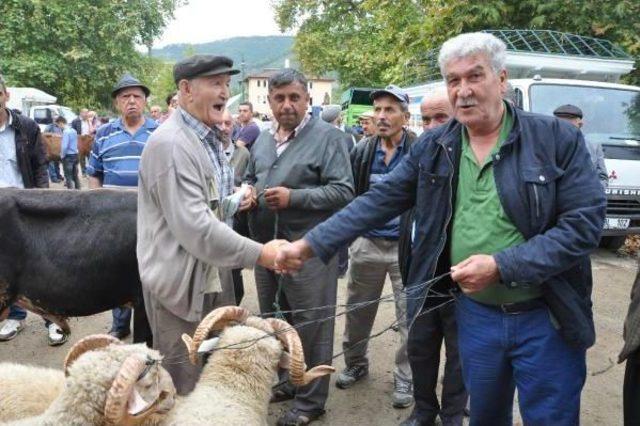 Bartın'da Hayvan Pazarında Yoğunluk