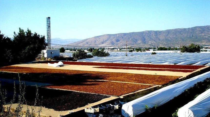 Tariş&rsquo;in Kuru &Uuml;z&uuml;m Fiyatlarını A&ccedil;ıklaması İstendi