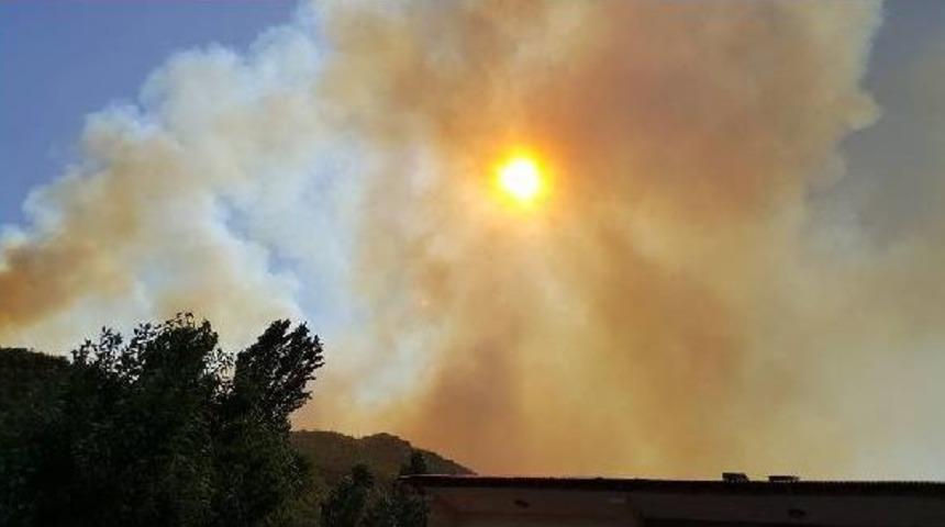 Şemdinli Altınsu K&ouml;y&uuml;'nde Orman Yangını