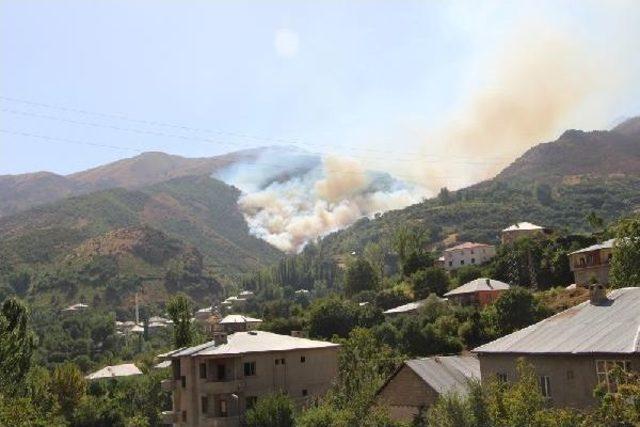 Şemdinli Altınsu Köyü'nde Orman Yangını