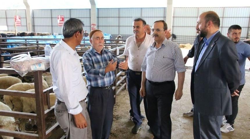 Başkan Şahin, Hayvan Pazarını İnceledi