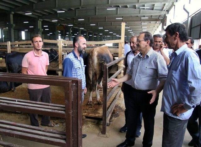 Başkan Şahin, Hayvan Pazarını İnceledi