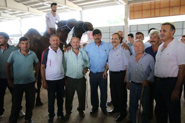 Başkan Şahin, Hayvan Pazarını İnceledi