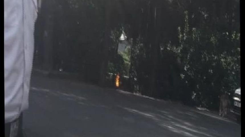 Ormanlık Alandan Ge&ccedil;en Doğal Gaz Borusunda Patlama Meydana Geldi