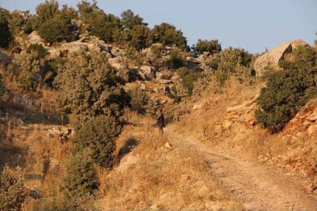 Adıyaman'da Askeri Aracın Geçişi Sırasında Patlama (2)  (Yeniden)