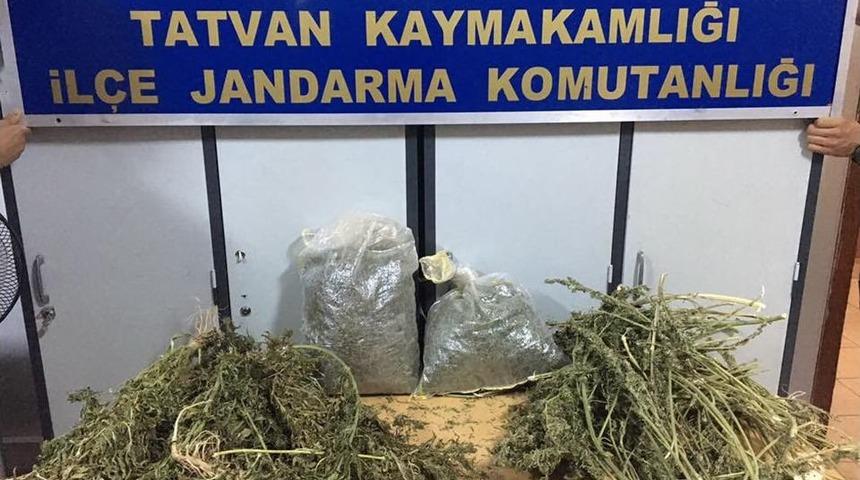 Tatvan&rsquo;da Jandarmadan Uyuşturucu Operasyonu