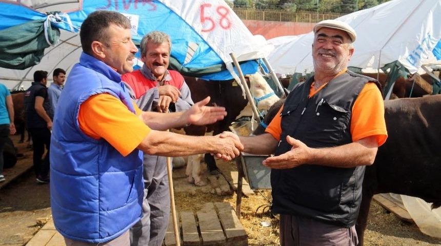 (&ouml;zel Haber) Sahibinden Satılık E-kurbanlık