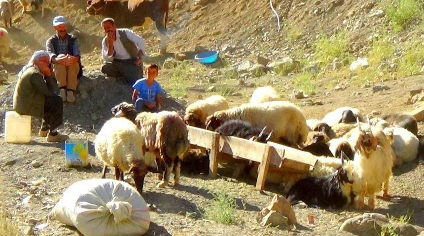 Hakkari&rsquo;de Bu Bayram Da Y&uuml;zler G&uuml;lmedi