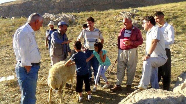 Hakkari’de Bu Bayram Da Yüzler Gülmedi