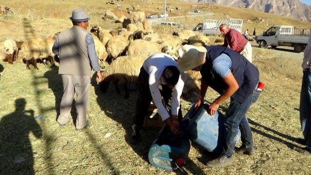 Hakkari’de Bu Bayram Da Yüzler Gülmedi